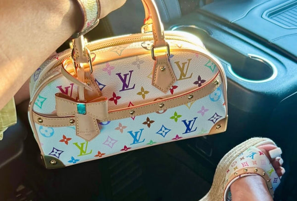 ‘Dani’ Purse